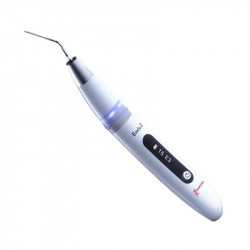 Activator Endo 3 Woodpecker