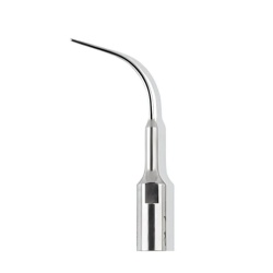 Ansa Detartraj P10 Lunos Durr Dental