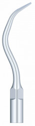 Ansa Detartraj G10 EMS Woodpecker