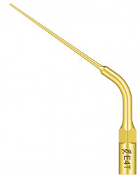 Ansa Endo E4T Titan EMS Woodpecker