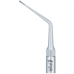 Ansa Perio P2R EMS Woodpecker