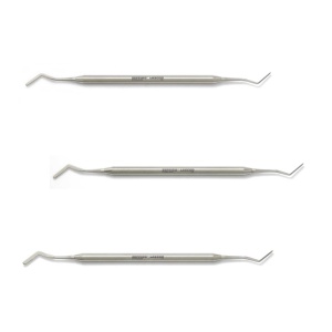 Spatula bucala Heidemann Zeffiro Lascod