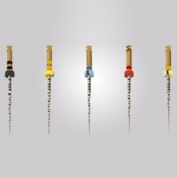 Ace ProTaper Next Maillefer Dentsply Sirona