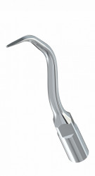 Ansa Detartraj G10 EMS Woodpecker