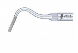 Ansa Detartraj G21 EMS Woodpecker