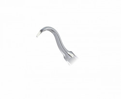 Ansa Detartraj G9 EMS Woodpecker