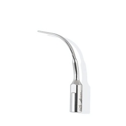 Ansa Detartraj P12 Lunos Durr Dental