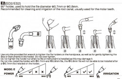 Ansa Endo E2 EMS Woodpecker