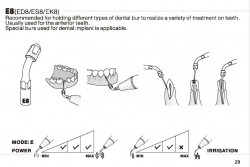 Ansa Endo ES8 SIRONA Woodpecker
