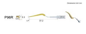 Ansa pentru intretinerea implanturilor P96R Woodpecker - Img 2