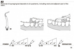 Ansa Detartraj Amdent A2 Woodpecker