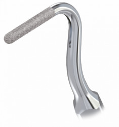 Ansa Detartraj G21 EMS Woodpecker