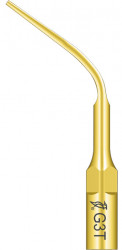 Ansa Detartraj G3T Titan EMS Woodpecker