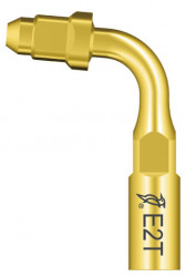 Ansa Endo E2T Titan EMS Woodpecker