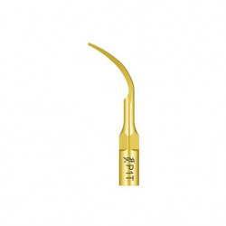 Ansa Perio P1T Titan EMS Woodpecker