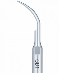 Ansa Detartraj GD1 DTE/SATELEC Woodpecker