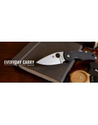 Bricege Everyday Carry Spyderco