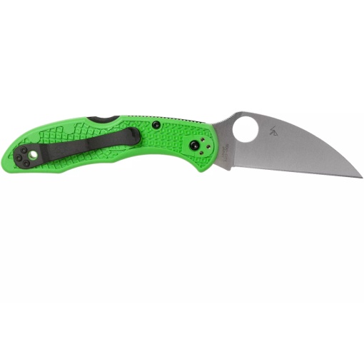 Briceag Salt® 2 verde LC200N Wharncliffe, Spyderco - Img 13