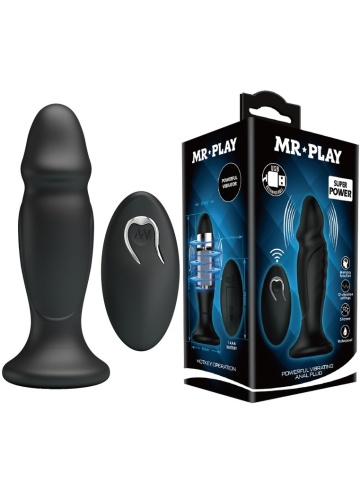 Analni plug USB sa daljinskim | Mr-Play