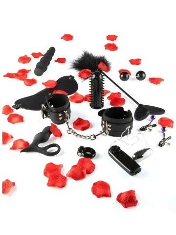 Komplet ljubavnih igračaka | Lovetoy Starter Kit - Img 2