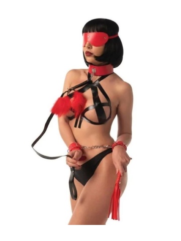 Crveni BDSM Set od 5 elemenata | Bondage Set Red