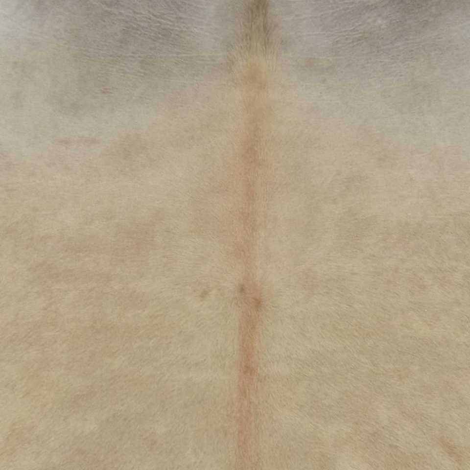 Covor din piele de vacă naturală, bej, 150 x 170 cm - 2 | YEO