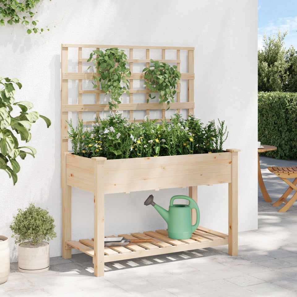 Jardiniere cu trellis și raft 115x59x152 cm Lemn solid de brad - 3 | YEO