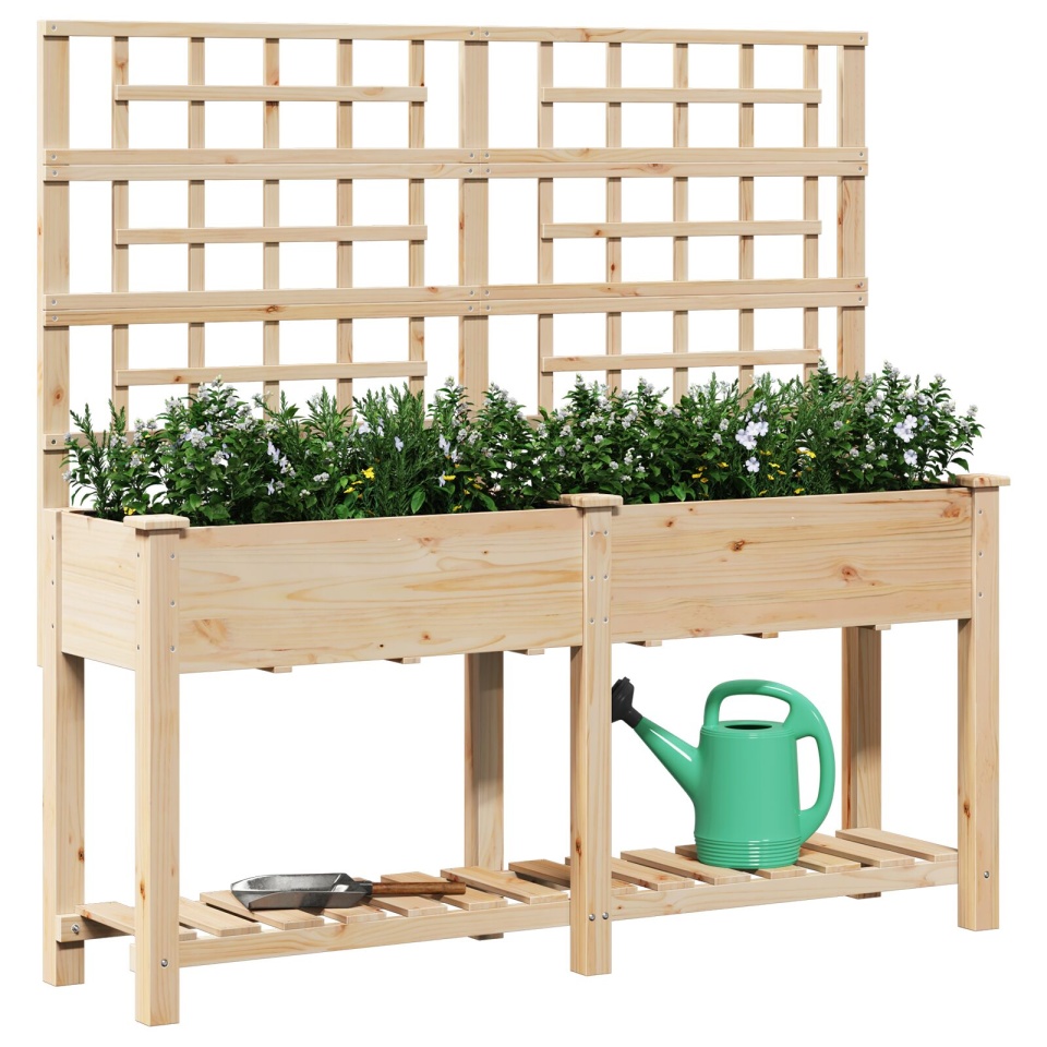 Jardiniere cu spaliere și raft 161x43x152 cm Lemn masiv de pin - 2 | YEO