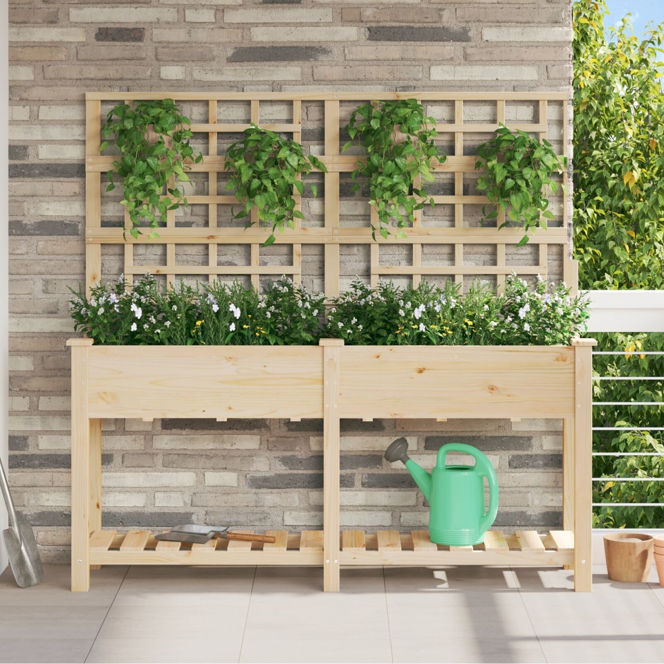 Jardiniere cu spaliere și raft 161x43x152 cm Lemn masiv de pin