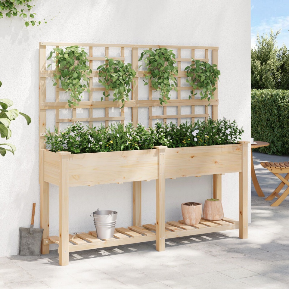 Jardiniere cu spaliere și raft 161x43x152 cm Lemn masiv de pin - 3 | YEO