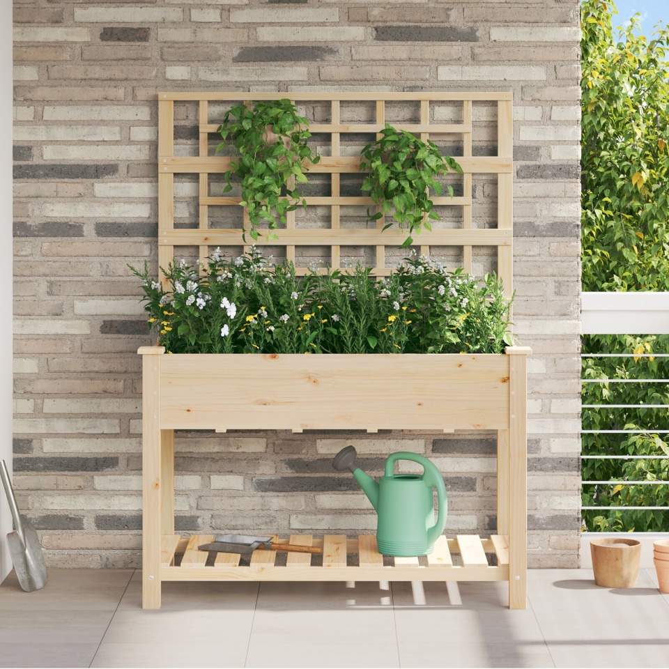 Jardiniere cu trellis și raft 115x59x152 cm Lemn solid de brad