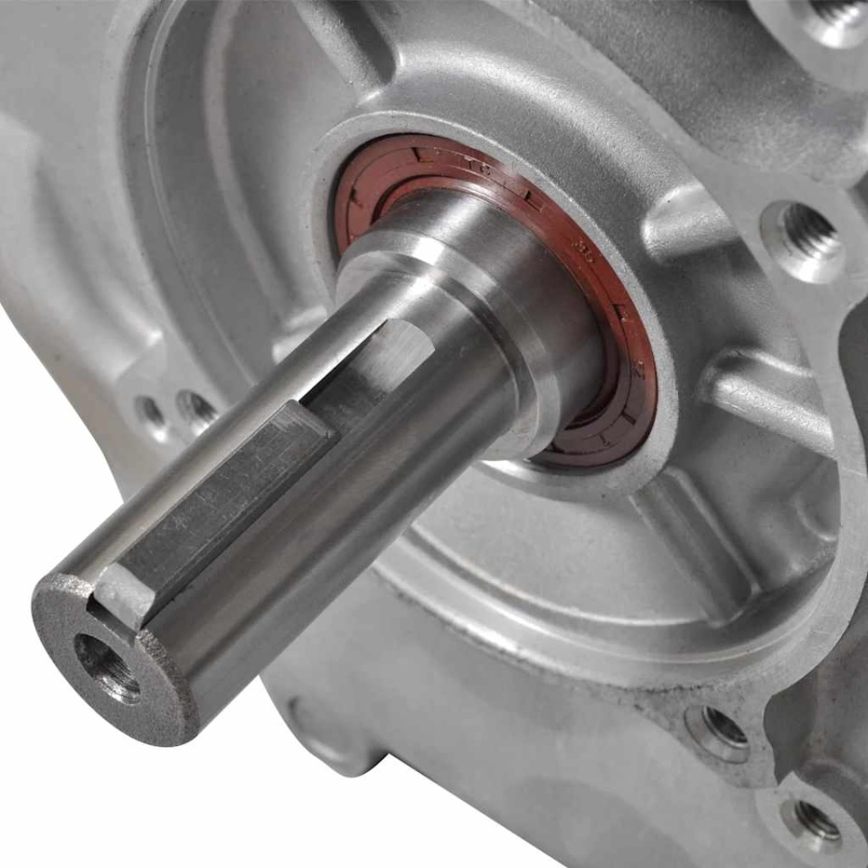 Motor pe benzină, negru, 15 CP, 11 kW - 4 | YEO