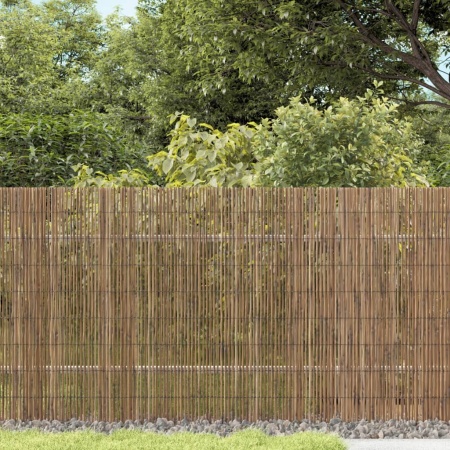 Gard de grădină, 300x80 cm, stuf