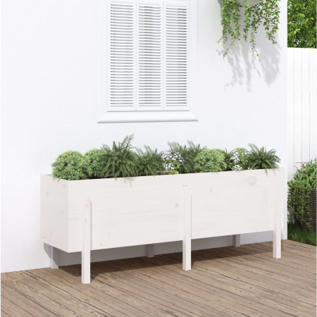 Strat înălțat de grădină, alb, 160x50x57 cm, lemn masiv de pin - Img 1