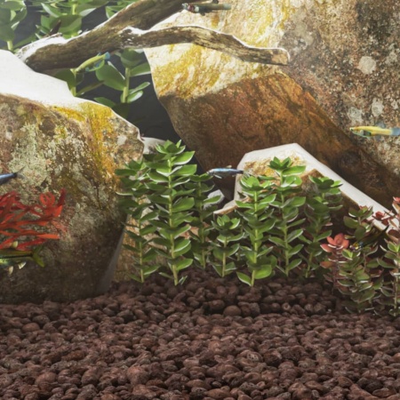 Roci vulcanice, 10 kg, roșu, 3-5 cm