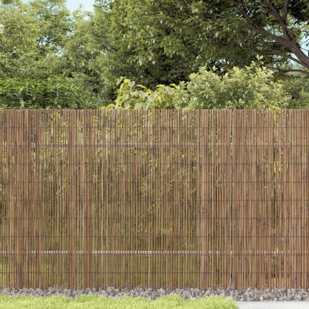 Gard de grădină, 1000x90 cm, stuf