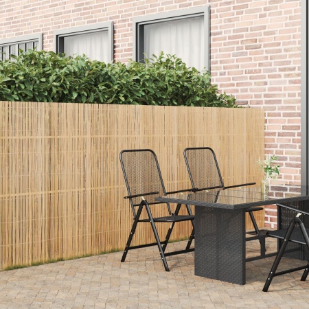 Gard din bambus 400x150 cm