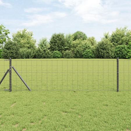 Împrejmuirea Euro Set de 2 Gri Metal 25 x 0.8 m Durabil