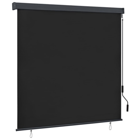 Jaluzea tip rulou de exterior, antracit, 170 x 250 cm