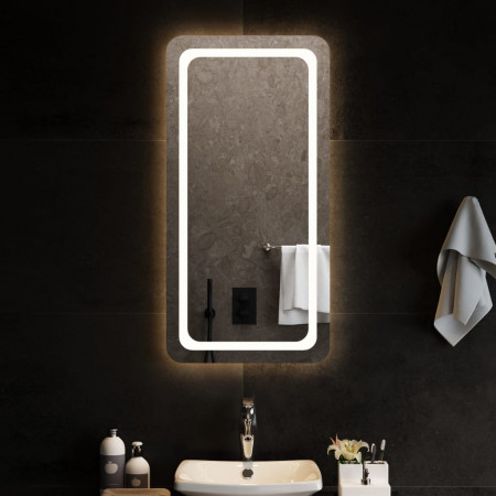 Oglinda de baie cu LED, 50x100 cm