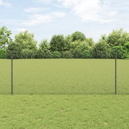 Set de Plasă pentru Pui Set de 2 Gri Metal 10 x 1 m Durabil