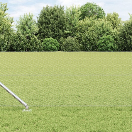 Gard Hexagonal 0.6x25 m Oțel Galvanizat, Stâlpi de Gard cu Ancora Spike 13 buc Ø32 mm 80 cm Oțel Galvanizat