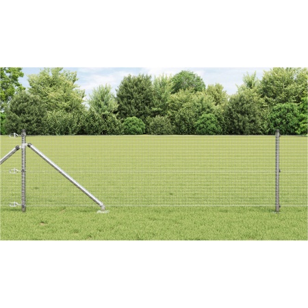 Împrejmuirea din Sârmă Sudată cu 13 Stâlpi cu Vârf 0.4x25 m Oțel Galvanizat
