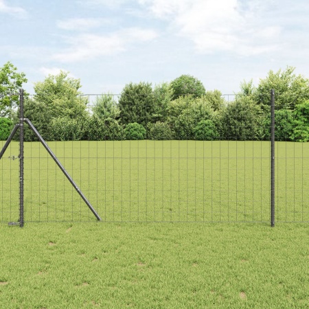 Euro Fence Gri 1x10 m Oțel