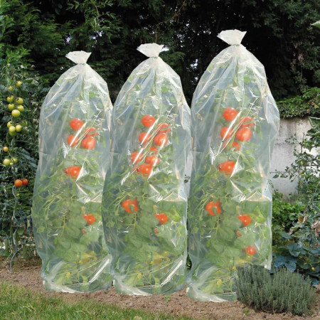 Nature Folie pentru acoperirea tomatelor, 1500 x 50 cm