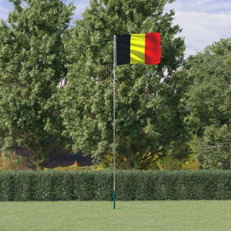 Steag Belgia și stâlp din aluminiu, 5,55 m - Img 1
