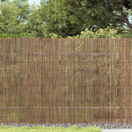Gard de grădină, 400x100 cm, stuf