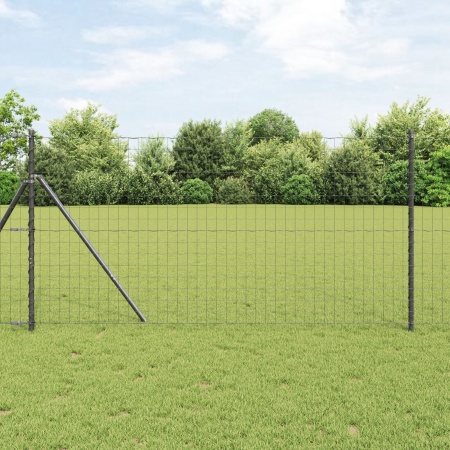 Gard Euro Set de 2 Gri Metal 25 x 1.2 m Durabil Gard Euro