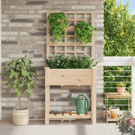 Ghiveci de grădină cu trellis și raft 71x37x152 cm din lemn de pin