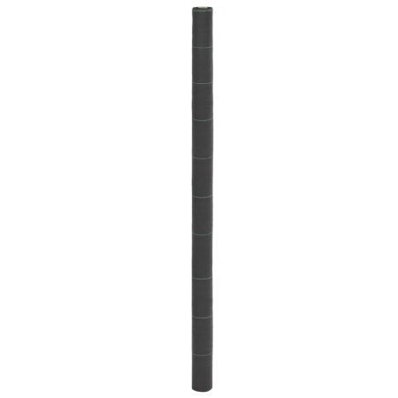 Membrană antiburuieni, negru, 2x25 m, PP
